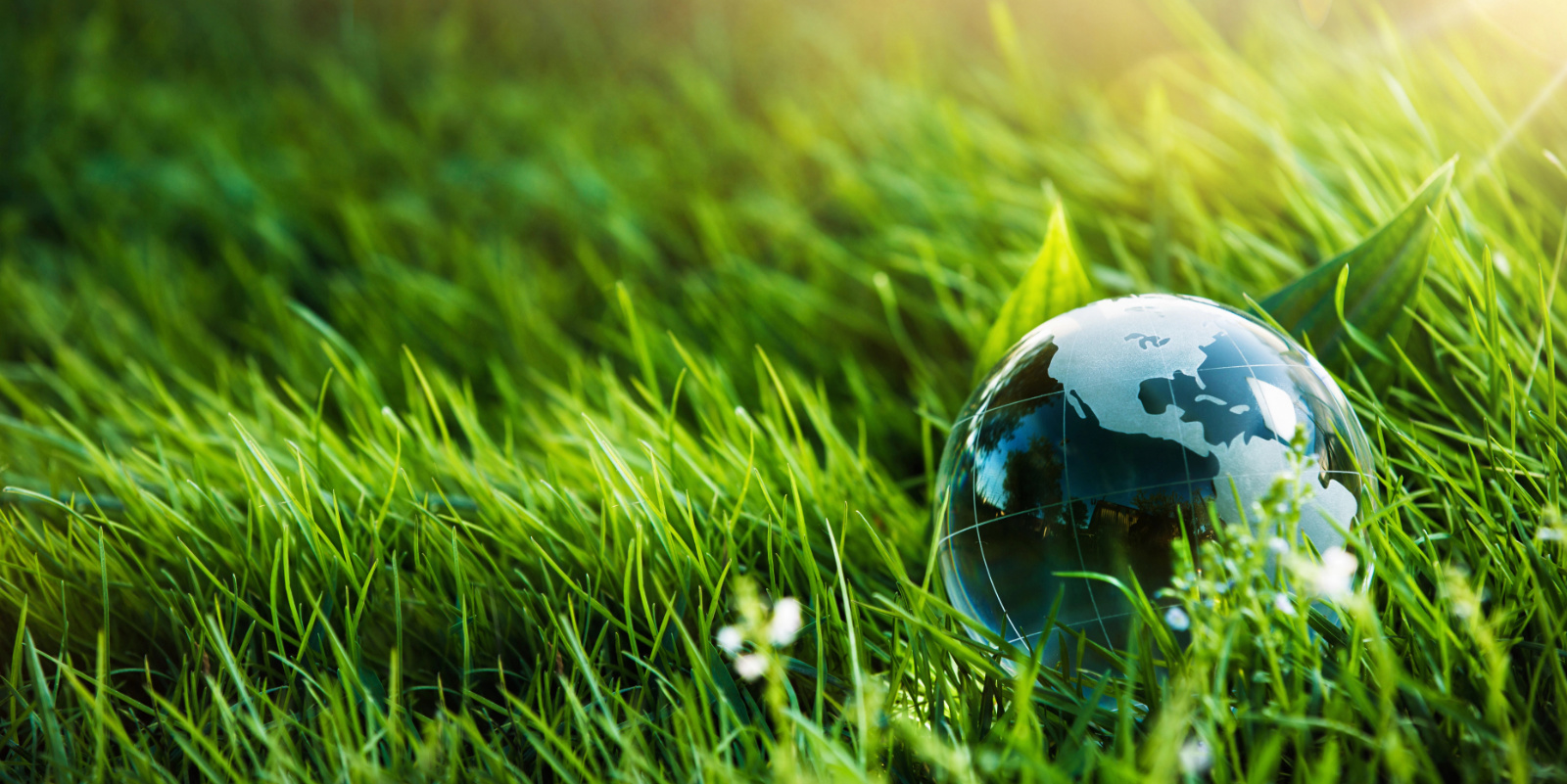 Przecinarka do styropianu a ekologia